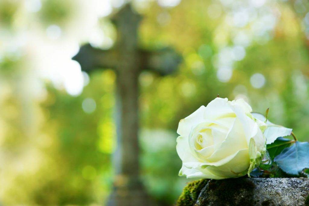 White Rose With Cross In Background